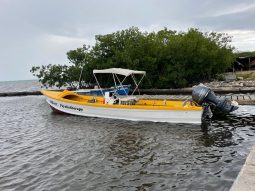 28′ Fiber Glass Canoe