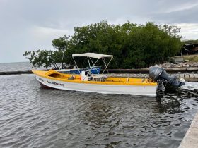 28′ Fiber Glass Canoe