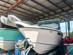 28 Feet Robalo