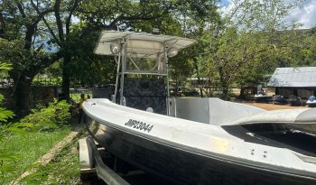 3a2681f2-6580-4abb-aa1a-50be6873c9cb 2