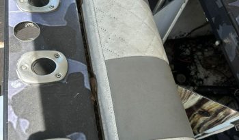 411d0dda-1a38-4951-9687-9d7155a076f4 2