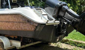 5df64a51-a893-4ab1-a47b-0cf066d8b1b6 2